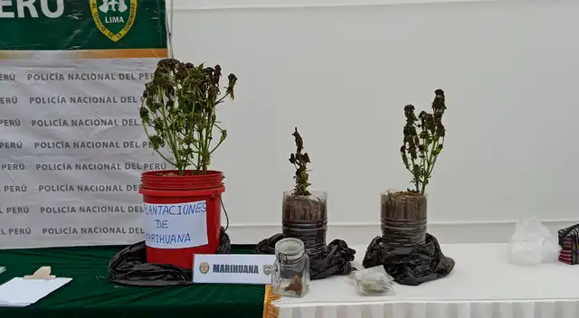San Isidro: PNP capturó a delincuentes que se hacían pasar como ...
