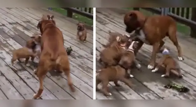 El clip cuenta con miles de reproducciones en YouTube. El clip cuenta con miles de reproducciones en YouTube.