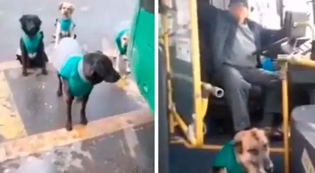 La buena acción de los hombres ha sido reconocida en las redes sociales.