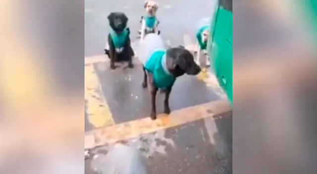 La buena acción de los hombres ha sido reconocida en las redes sociales.