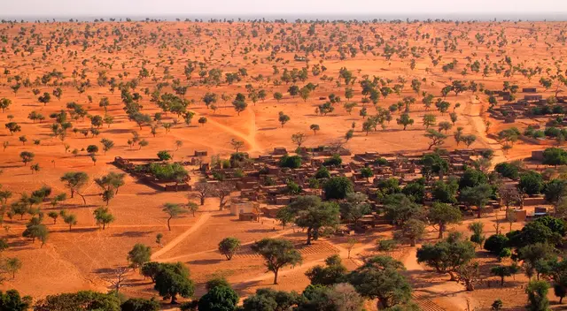 La mayoría de estos árboles en el Sahel de Mali son invisibles para la mayor parte de los satélites. La mayoría de estos árboles en el Sahel de Mali son invisibles para la mayor parte de los satélites.