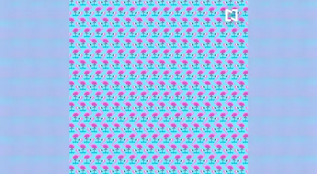 Encuentra los flamengcos que tienen una sola pata.