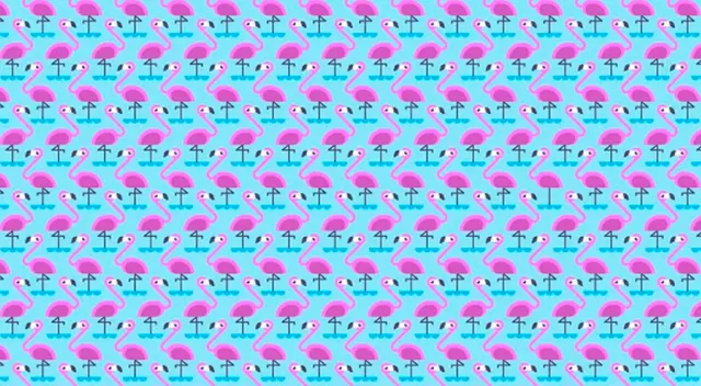 Encuentra los flamengcos que tienen una sola pata.