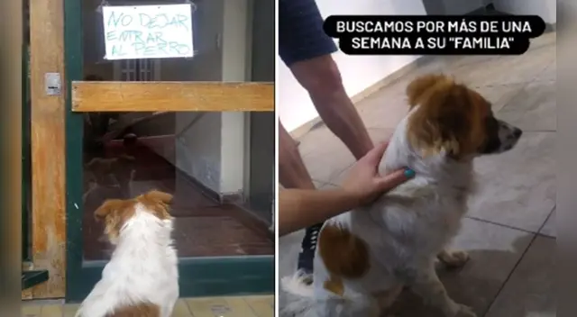 El clip viral de TikTok es todo un éxito en las redes sociales. El clip viral de TikTok es todo un éxito en las redes sociales.