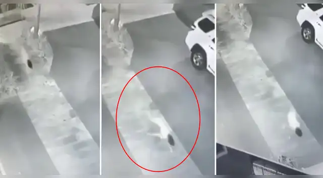 El clip cuenta con miles de reproducciones en YouTube.