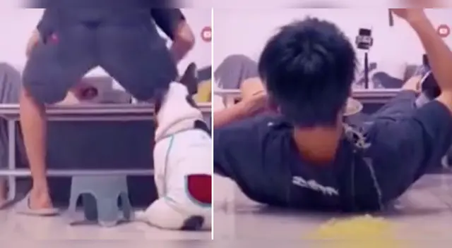 La divertida escena causó sensación en las redes sociales.