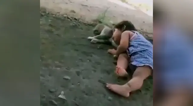 La niña hizo un nuevo amigo felino.