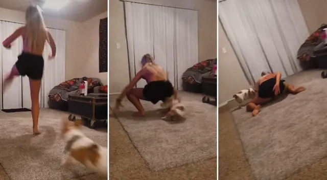 El perro creyó que su dueña estaba jugando.