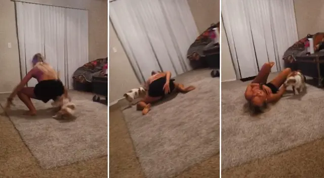 El perro creyó que su dueña estaba jugando.