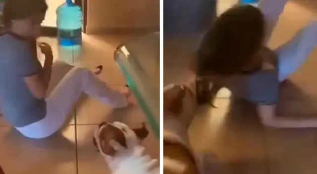 Perro no soporto que adolescente lo moleste y la agarró de los cabellos Perro no soporto que adolescente lo moleste y la agarró de los cabellos