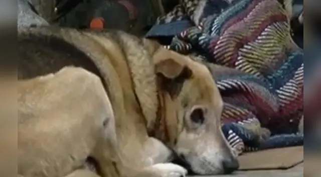 El clip cuenta con miles de reproducciones en YouTube. El clip cuenta con miles de reproducciones en YouTube.