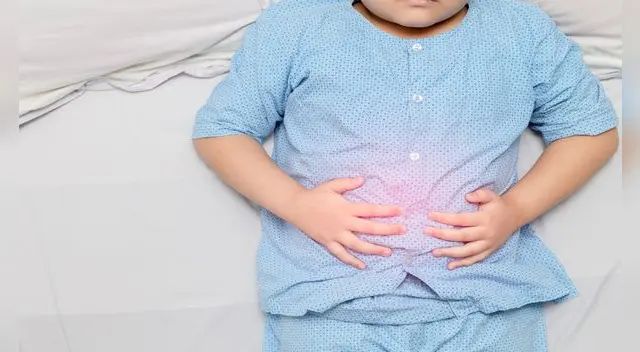 Las enfermedades diarreicas agudas continúan siendo uno de los principales problemas de salud pública.