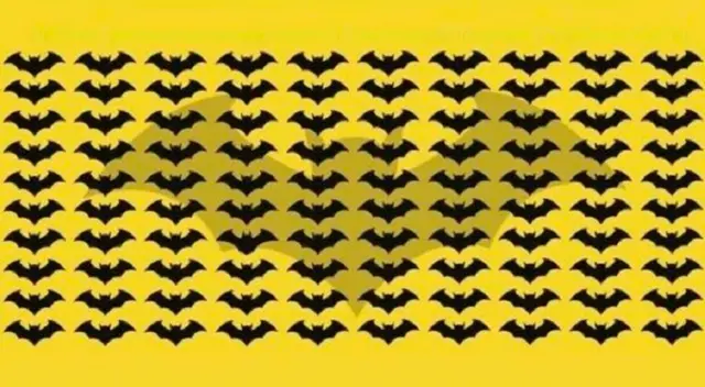 Reto viral: encuentra al murciélago diferente. Reto viral: encuentra al murciélago diferente.