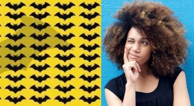 Reto viral: encuentra al murciélago diferente. Reto viral: encuentra al murciélago diferente.