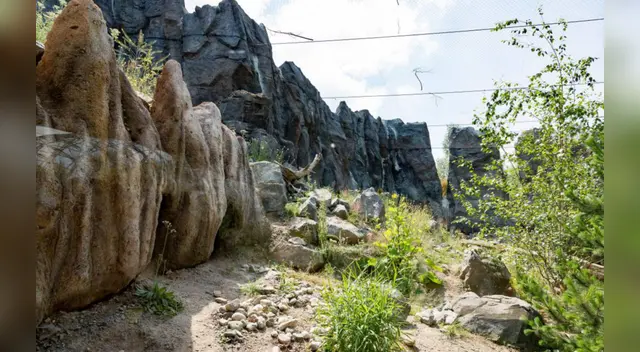 El challengue de Facebook ha causado sensación en las redes sociales.