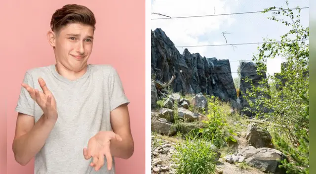 Tienes pocos segundos para dar con la repsuesta.