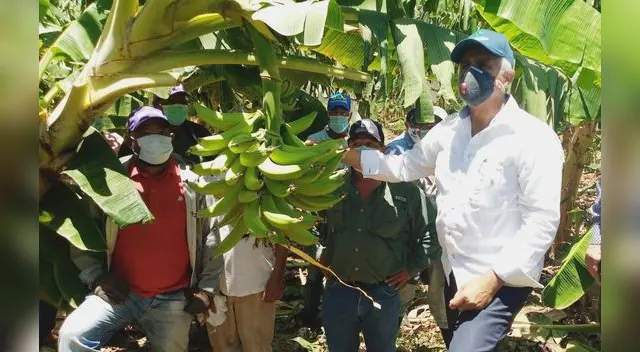 La agricultura basada en el cultivo de frutales.