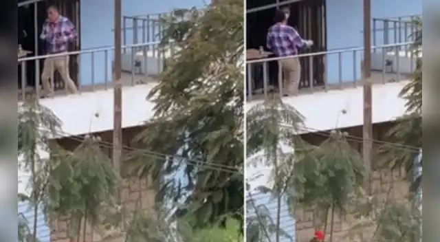 La divertida escena causó sensación en las redes sociales.