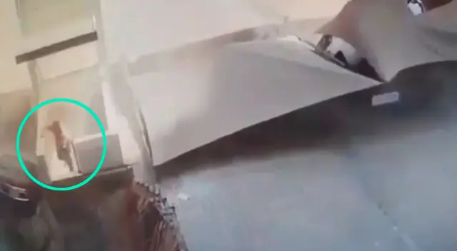 Hombre casi muere aplastado luego de que un estacionamiento se derrumbe Hombre casi muere aplastado luego de que un estacionamiento se derrumbe