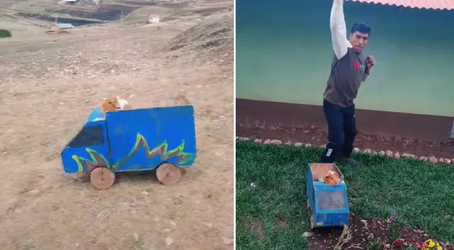 El joven utilizó un poco de madera para crear el carro de su cuy.