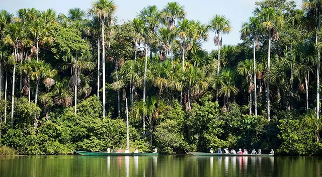 Selva baja u Omagua.