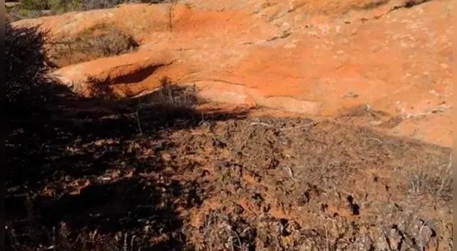 Tienes pocos segundos para dar con la respuesta. Tienes pocos segundos para dar con la respuesta.