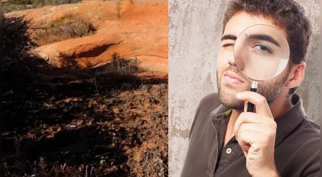 Pocas personas han podido dar con la respuesta del challenge de Facebook. Pocas personas han podido dar con la respuesta del challenge de Facebook.