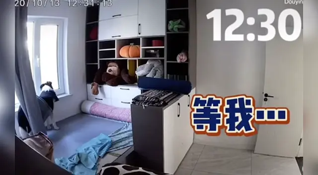 La escena se ha robado el corazón de miles de usuarios en las redes sociales. La escena se ha robado el corazón de miles de usuarios en las redes sociales.