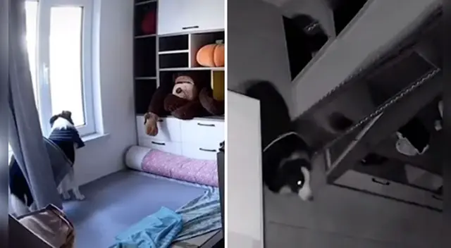 El clip cuenta con miles de reproducciones en Facebook. El clip cuenta con miles de reproducciones en Facebook.