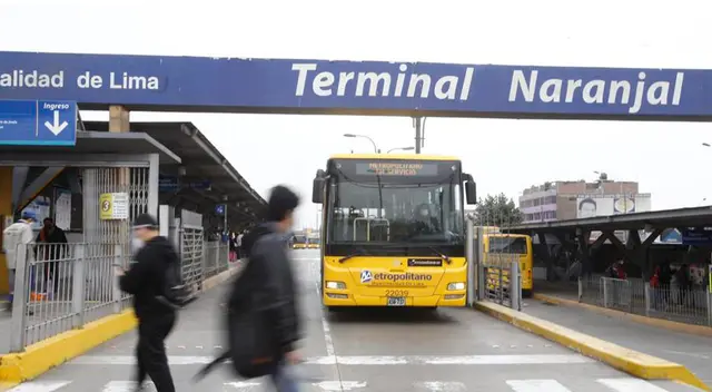 Buses alimentadores en peligro.
