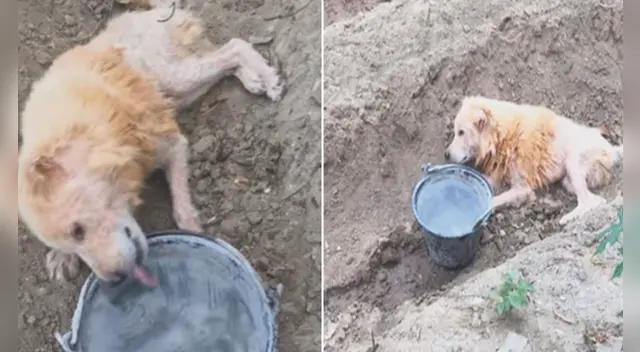 El clip cuenta con miles de reproducciones en Facebook. El clip cuenta con miles de reproducciones en Facebook.