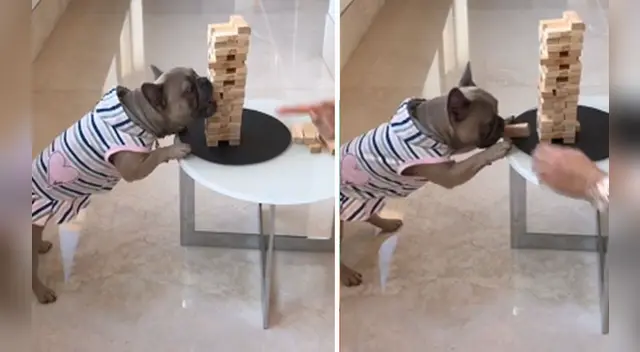 El clip cuenta con miles de reproducciones en TikTok.