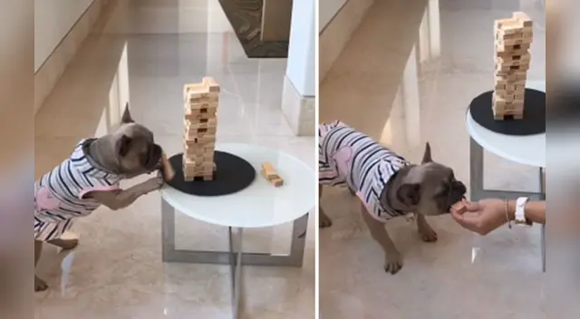 La escena llamó la atención de varios usuarios en las redes sociales.