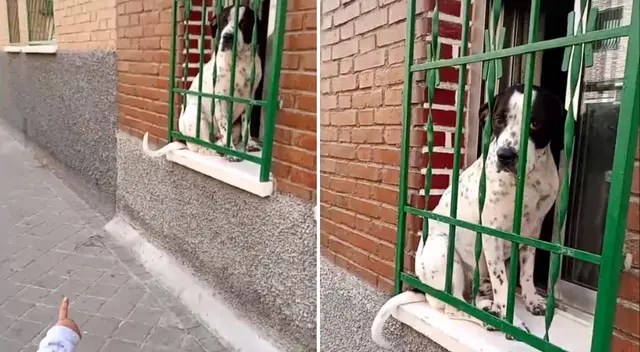 El divertido video provocó más de una carcajada en TikTok.