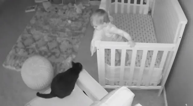 Una pequeña y una gata protagonizaron un asombroso momento. Una pequeña y una gata protagonizaron un asombroso momento.