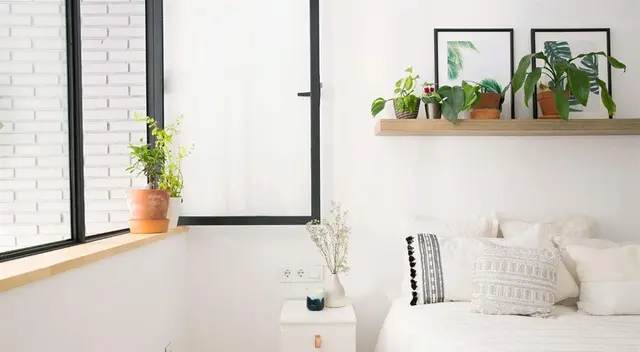 Las plantas y el orden harán de tu hogar un lugar ideal.