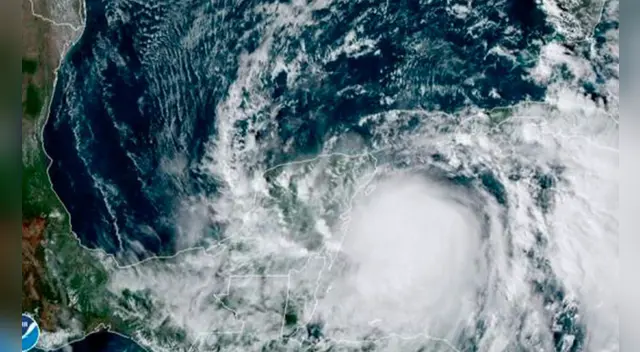 Hasta el momento, ha provocado caída de árboles y fallas en el servicio eléctrico. Hasta el momento, ha provocado caída de árboles y fallas en el servicio eléctrico.