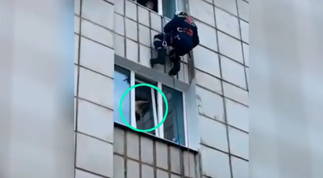 Bomberos le salvaron la vida al felino Bomberos le salvaron la vida al felino