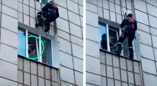 Bomberos le salvaron la vida al felino Bomberos le salvaron la vida al felino