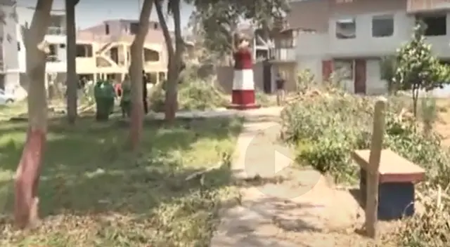 Los árboles habrían sido talados para evitar la presencia de drogadictos y delincuentes en la zona. Los árboles habrían sido talados para evitar la presencia de drogadictos y delincuentes en la zona.