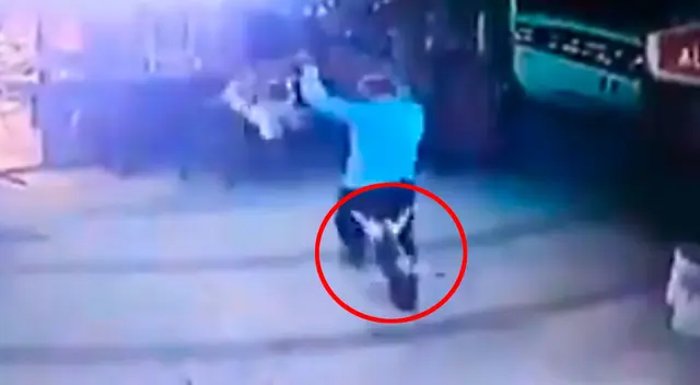 Gato ataca a un hombre y su perro cuando ingresaron a una tienda Gato ataca a un hombre y su perro cuando ingresaron a una tienda