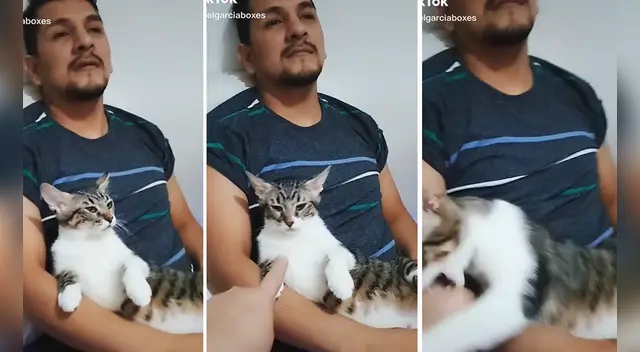 El clip cuenta con miles de reproducciones en TikTok.