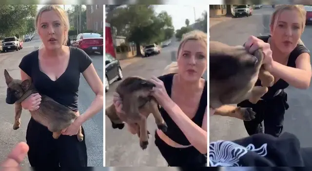 La mujer lanzó al perrito como si se tratar de un objeto.