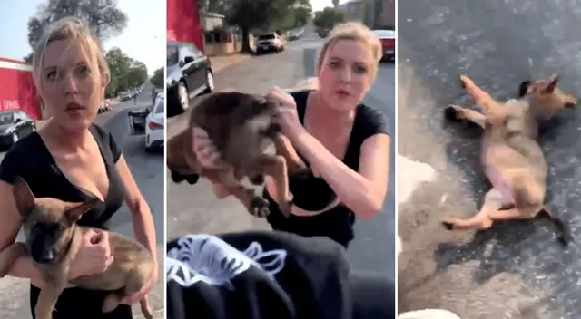 La mujer lanzó al perrito como si se tratara de un objeto.