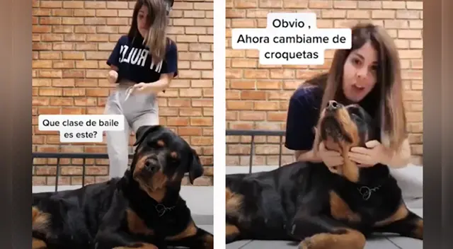 El cómico video causó sensación en las redes sociales. El cómico video causó sensación en las redes sociales.