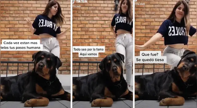 El clip cuenta con miles de reproducciones en TikTok. El clip cuenta con miles de reproducciones en TikTok.