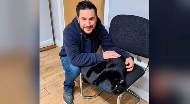 El gatito se había perdido hace dos años. El gatito se había perdido hace dos años.