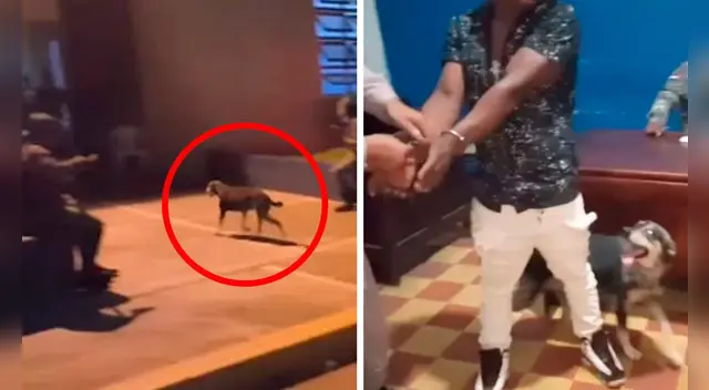 La curiosa escena causó sensación en las redes sociales. La curiosa escena causó sensación en las redes sociales.