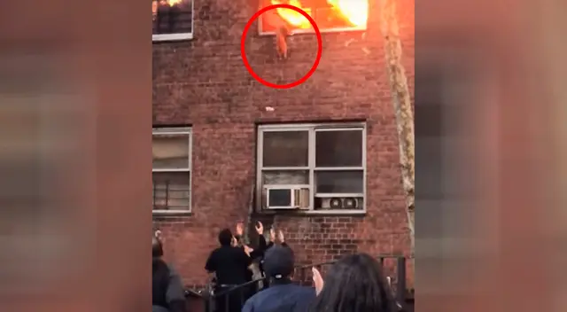Gatito salta de un edificio en llamas para salvar su vida Gatito salta de un edificio en llamas para salvar su vida