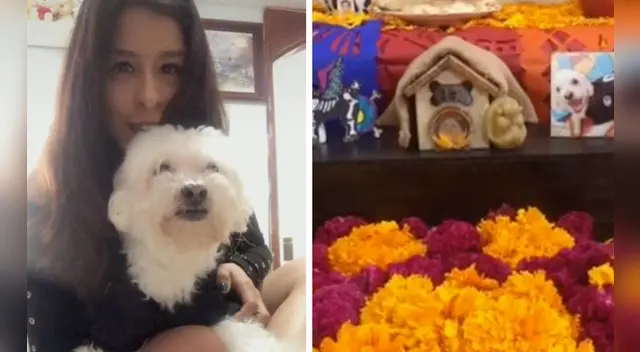 El clip cuenta con miles de reproducciones en TikTok. El clip cuenta con miles de reproducciones en TikTok.